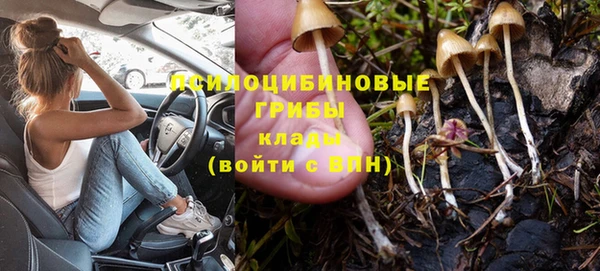 синтетический гашиш Алексеевка