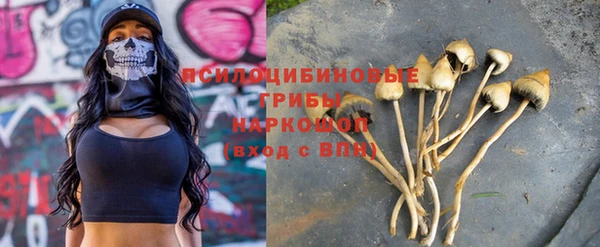 синтетический гашиш Алексеевка